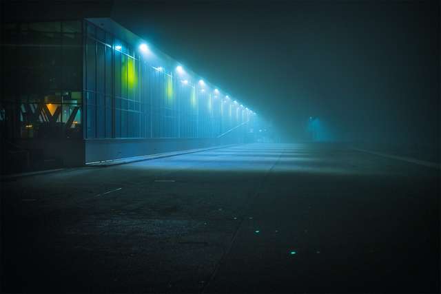 Ранковий Гамбург крізь туман: захопливі фото - фото 295998