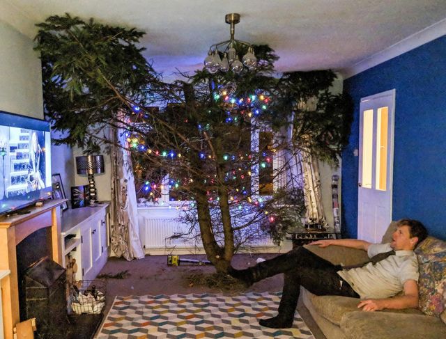 Британець поставив гігантську ялинку крізь весь дім - фото 296025