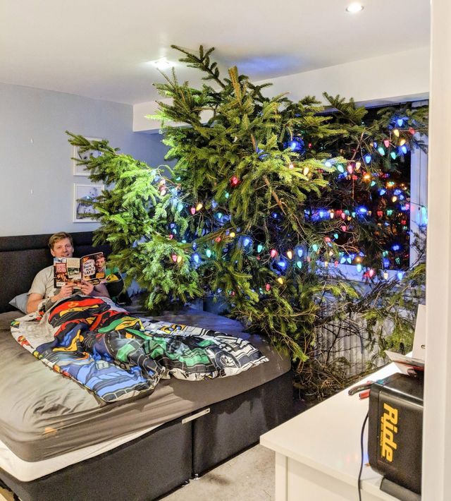 Британець поставив гігантську ялинку крізь весь дім - фото 296026