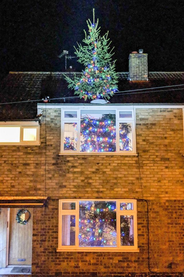 Британець поставив гігантську ялинку крізь весь дім - фото 296027