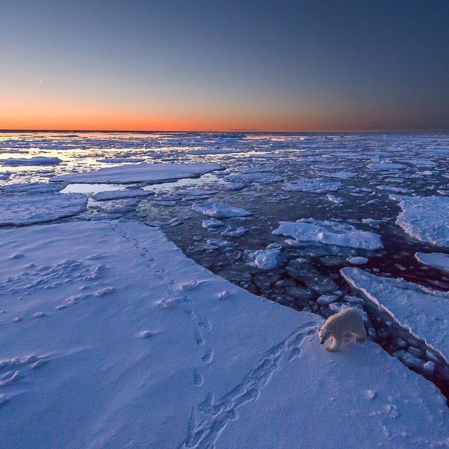 Дика природа Арктики у вражаючих фото мандрівника - фото 296090