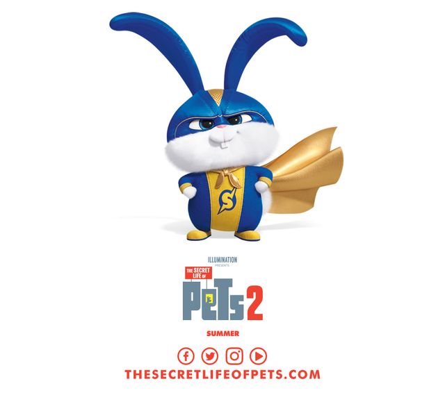 Постер до мультфільму 'Секрети домашніх тварин 2' - фото 296166
