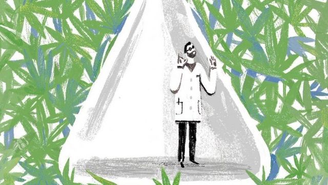 Марихуана змінює генетичний код чоловіків - фото 296223