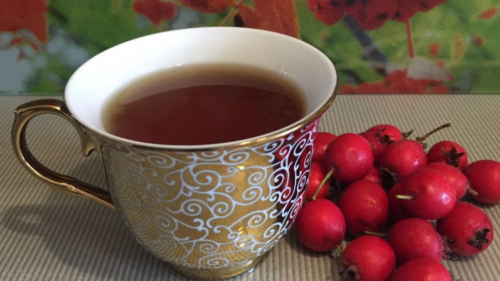 Названі корисні властивості чаю з глодом - фото 1
