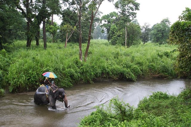 Захопливі пригоди фотографа Джоді Макдональд: ефектні кадри - фото 296316