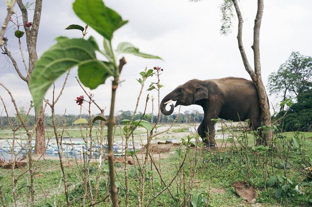 Захопливі пригоди фотографа Джоді Макдональд: ефектні кадри - фото 296317