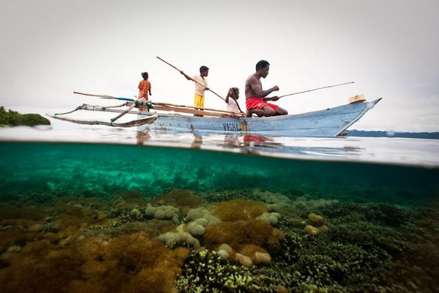 Захопливі пригоди фотографа Джоді Макдональд: ефектні кадри - фото 296323
