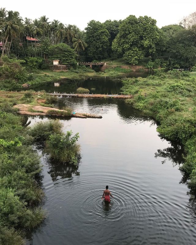 Захопливі пригоди фотографа Джоді Макдональд: ефектні кадри - фото 296327