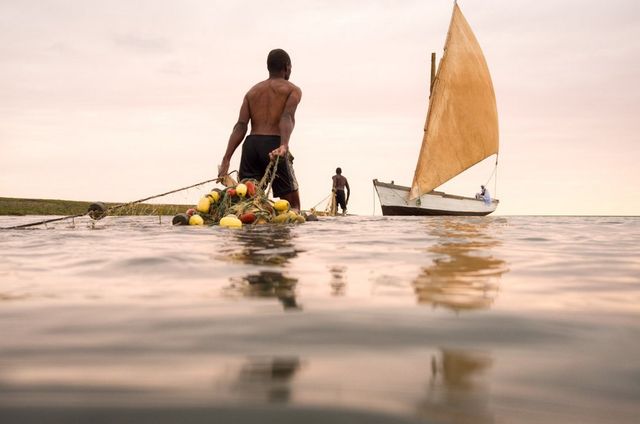 Захопливі пригоди фотографа Джоді Макдональд: ефектні кадри - фото 296328