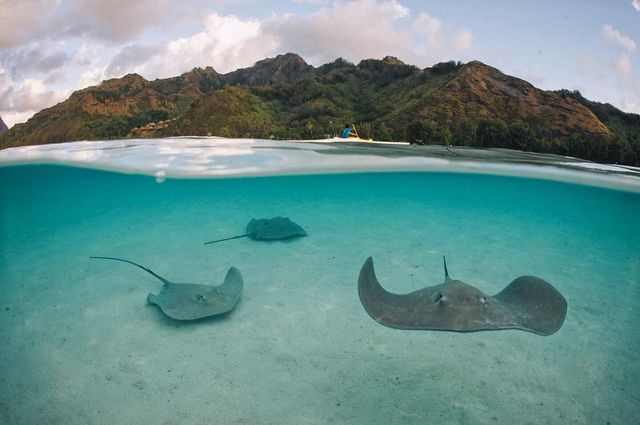 Захопливі пригоди фотографа Джоді Макдональд: ефектні кадри - фото 296329