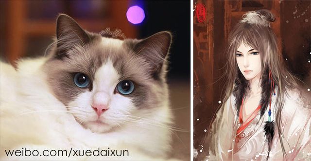 Художниця перетворює котиків у персонажів аніме - фото 296446