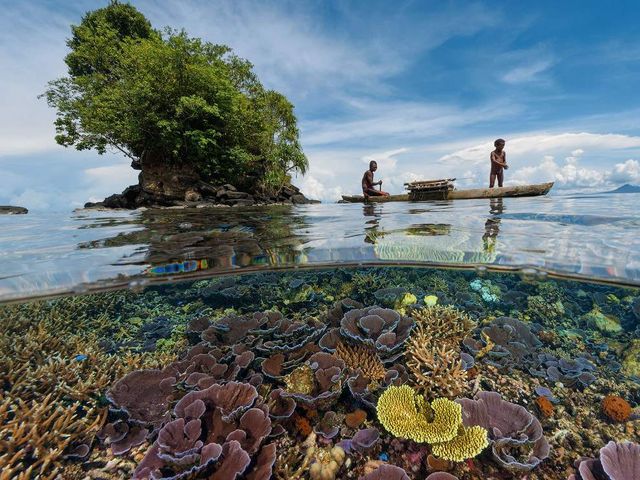 Знімки підводного світу на поверхні води - фото 296510