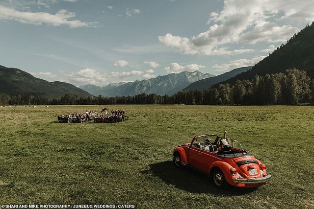 Експерти вибрали найкращі весільні фото року - фото 296953