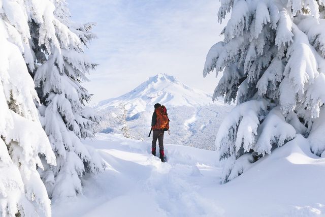 Захопливі подорожі в об'єктиві Елліота Хоукі: яскраві фото - фото 297122