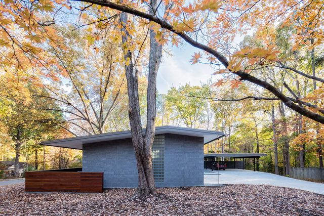 Ідеальний дім для інтровертів посеред лісу: яскраві фото - фото 297230