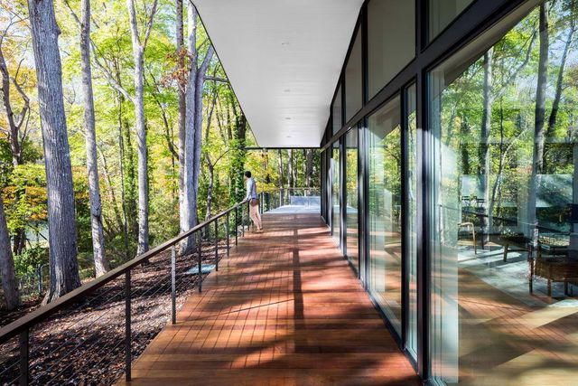 Ідеальний дім для інтровертів посеред лісу: яскраві фото - фото 297231