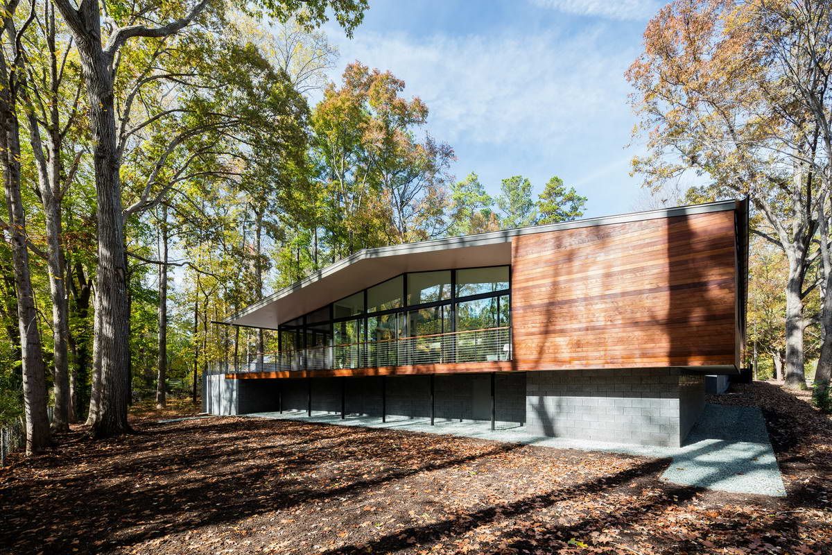 Ідеальний дім для інтровертів посеред лісу: яскраві фото