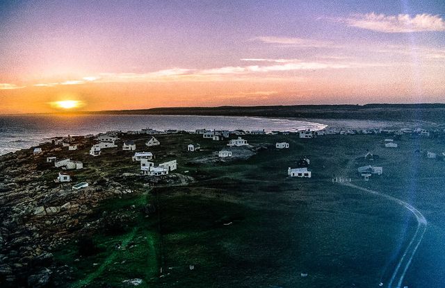 Дика краса Південної Америки: вражаючі фото - фото 297328