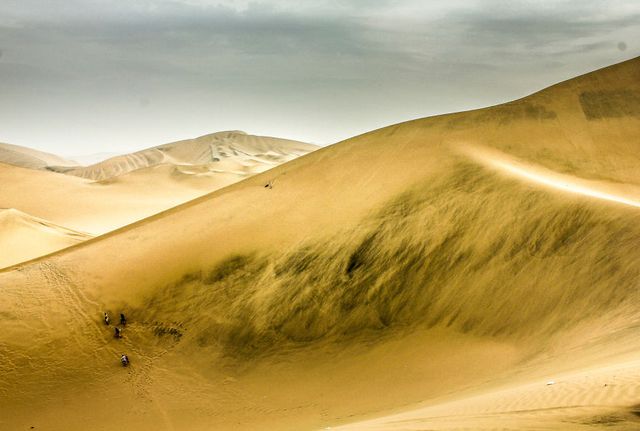 Дика краса Південної Америки: вражаючі фото - фото 297330