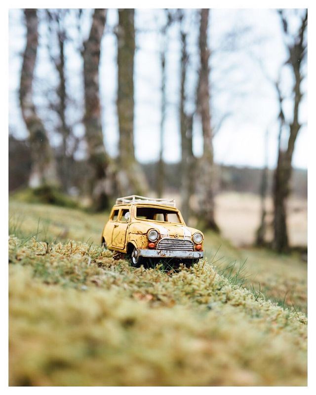 Мініатюрні авто у захопливих фото Кім Леенбергер - фото 297581