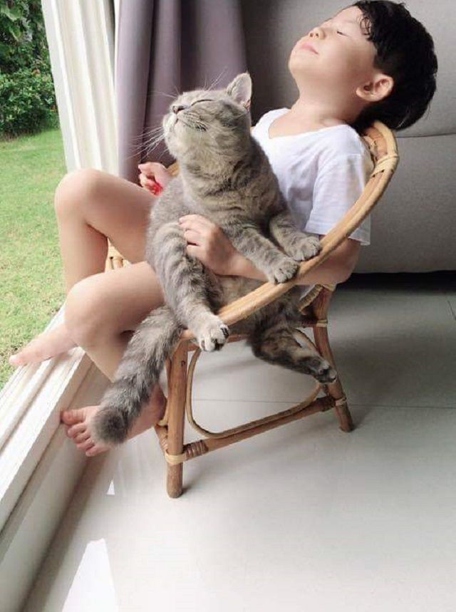 Фото дитини з котом підкорило Reddit - фото 1