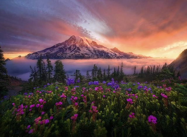 Ефектні пейзажі світу від Марка Адамуса: яскраві фото - фото 297604