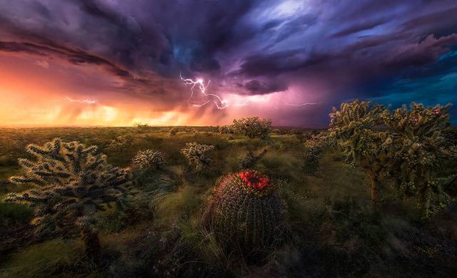 Ефектні пейзажі світу від Марка Адамуса: яскраві фото - фото 297605