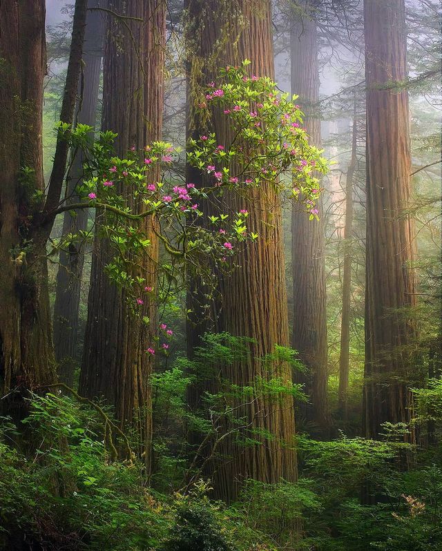 Ефектні пейзажі світу від Марка Адамуса: яскраві фото - фото 297606