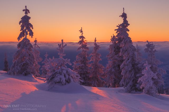 Фотоблог Ивана Кмитя - фото 297658