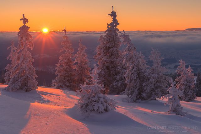 Фотоблог Ивана Кмитя - фото 297659