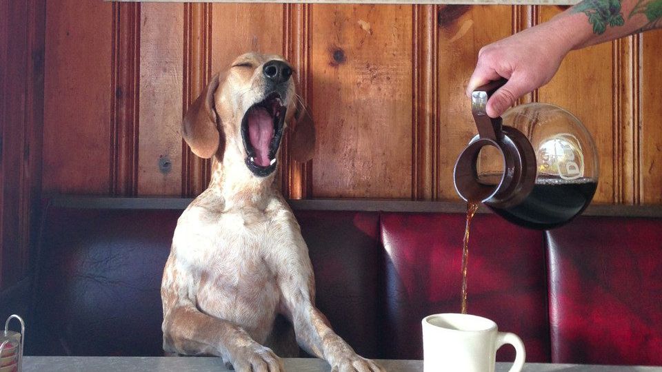 Не лише сонливість – ознака виснаження - фото 1