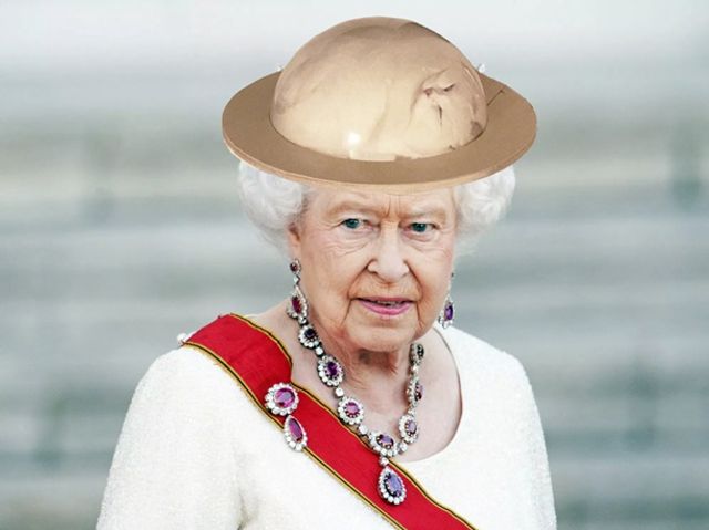 Кумедного сплячого кота перетворили на мем - фото 298394