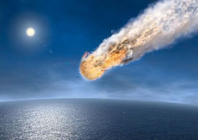 Кумедного сплячого кота перетворили на мем - фото 298396