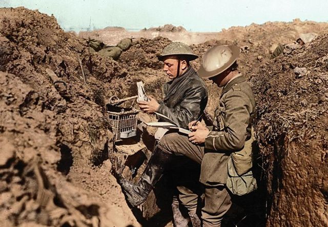 Кумедного сплячого кота перетворили на мем - фото 298397