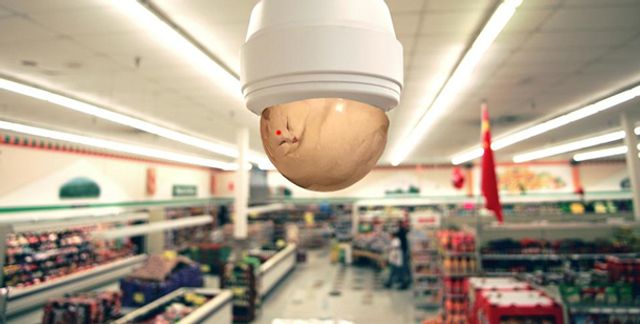 Кумедного сплячого кота перетворили на мем - фото 298399