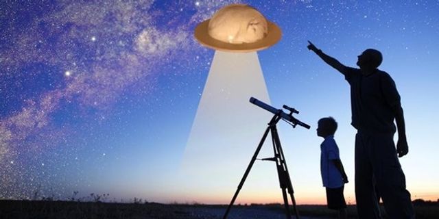 Кумедного сплячого кота перетворили на мем - фото 298401