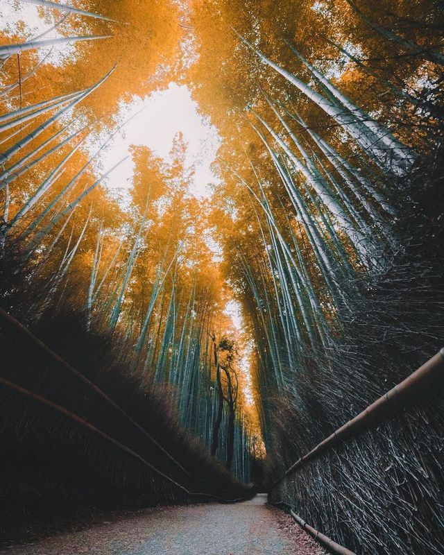 Захопливі вуличні фото Японії Такеші Хаякави, які заворожують - фото 298521