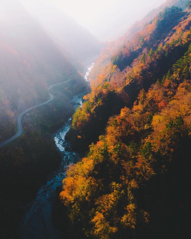 Захопливі вуличні фото Японії Такеші Хаякави, які заворожують - фото 298525