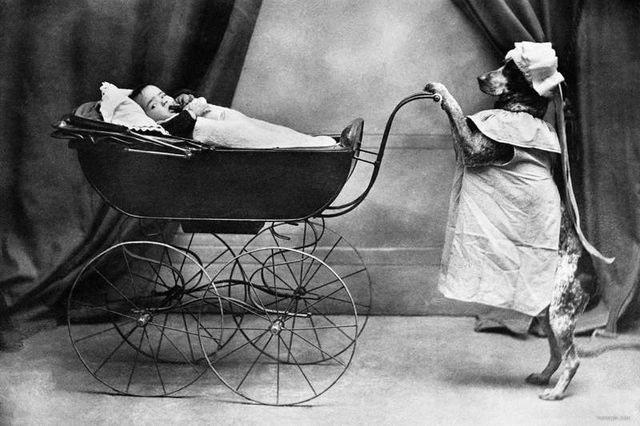 На цих ретро-знімках відбувається щось дивне - фото 298749