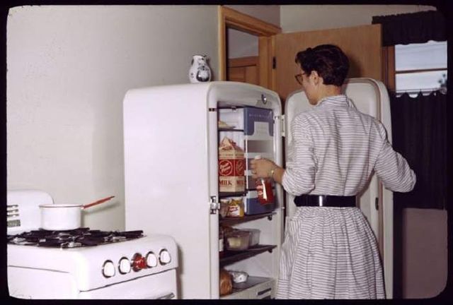 Що зберігалося в холодильниках американців у 1950-х - фото 299061