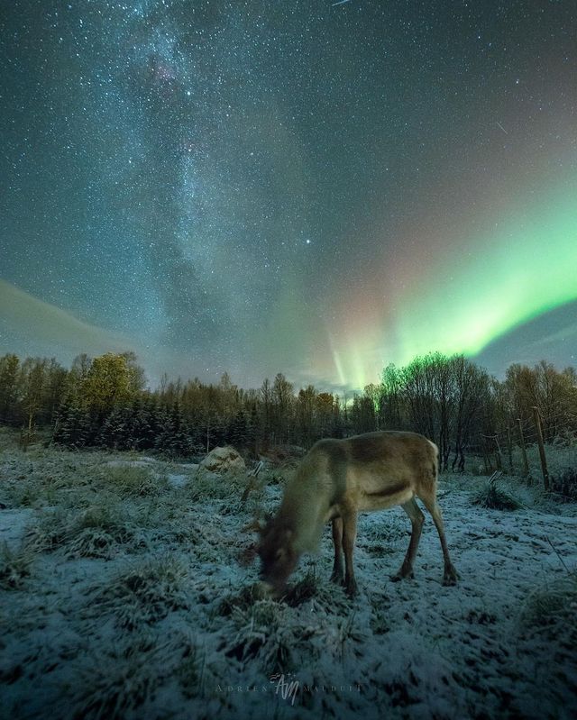 Неймовірна краса полярного сяйва: захопливі фото і відео - фото 299229
