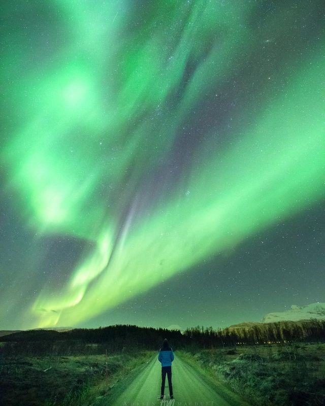 Неймовірна краса полярного сяйва: захопливі фото і відео - фото 299232