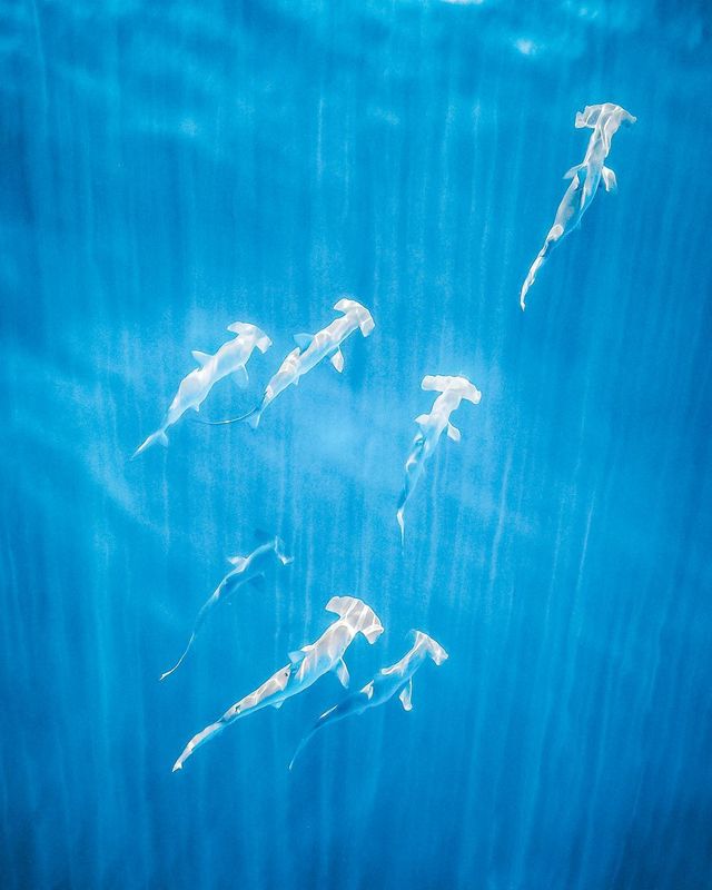 Австралія з висоти пташиного польоту: ефектні фото Мітчелла Кларка - фото 299278