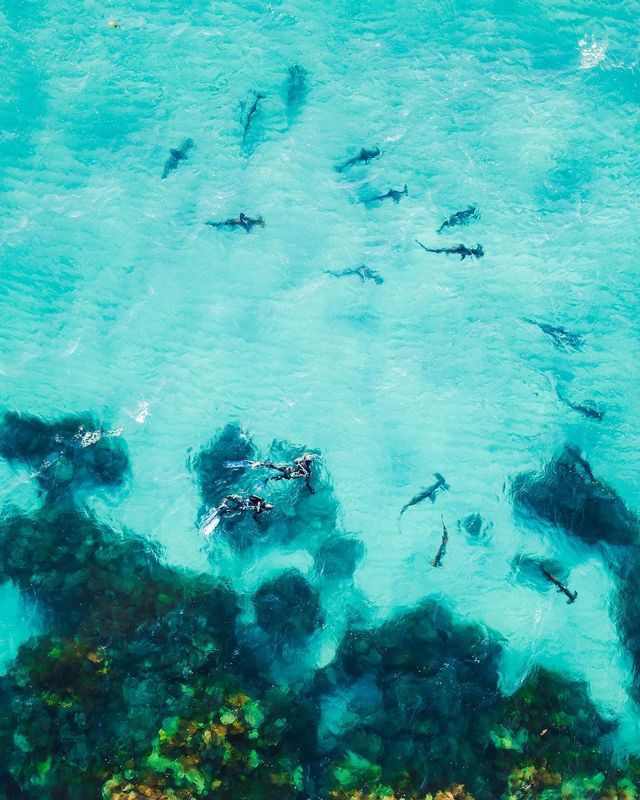 Австралія з висоти пташиного польоту: ефектні фото Мітчелла Кларка - фото 299292