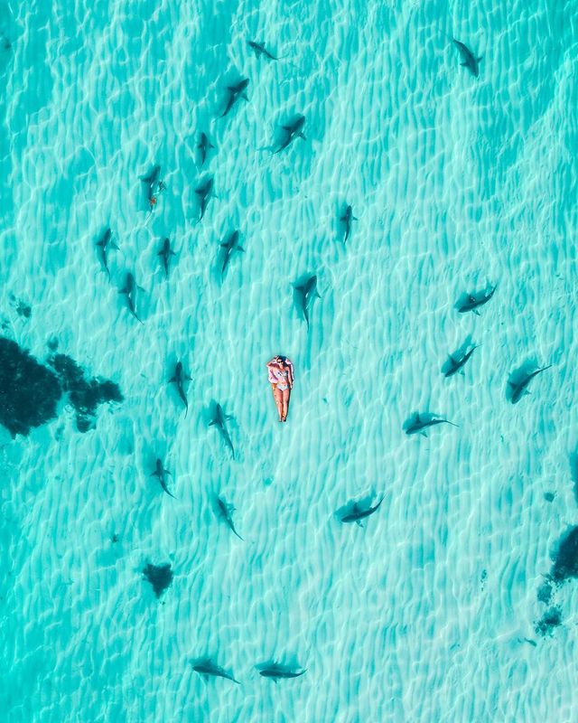 Австралія з висоти пташиного польоту: ефектні фото Мітчелла Кларка - фото 299293