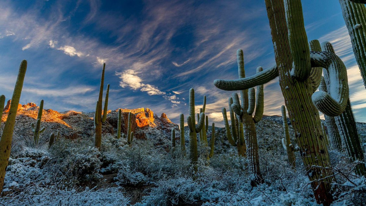 Зимовий шторм в пустелі Арізони - фото 1