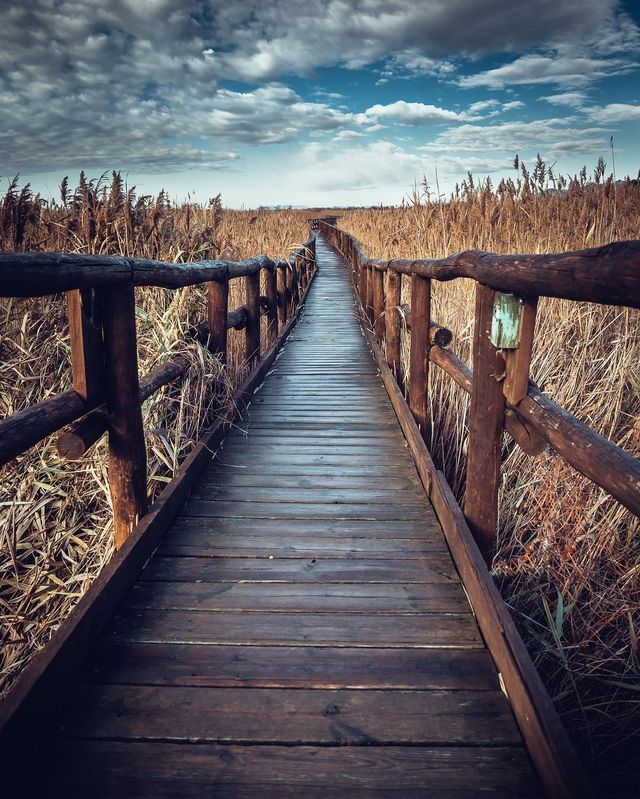 Захопливі подорожі Італією, які вражають: фото - фото 299619