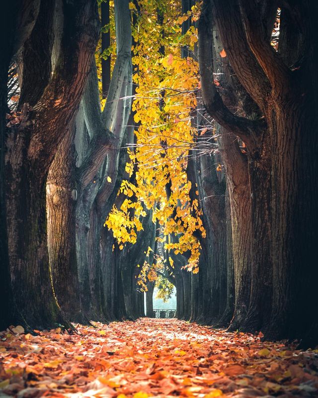 Захопливі подорожі Італією, які вражають: фото - фото 299620