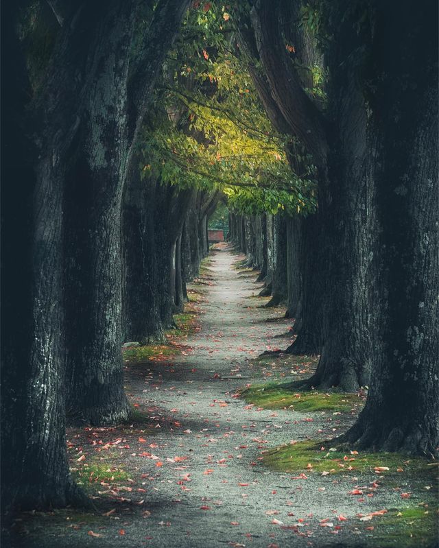 Захопливі подорожі Італією, які вражають: фото - фото 299630