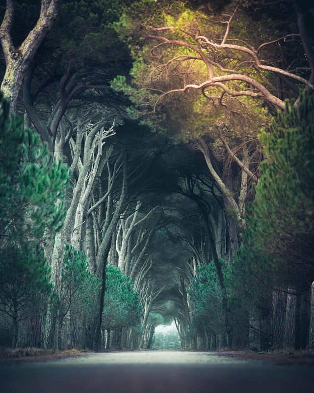 Захопливі подорожі Італією, які вражають: фото - фото 299632